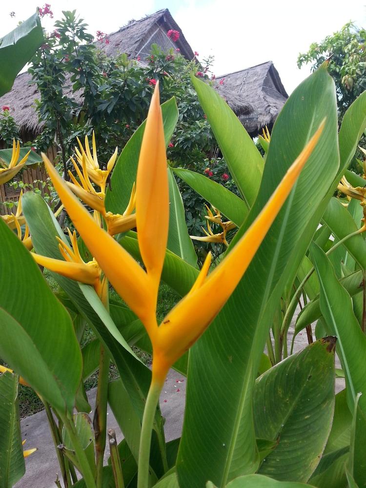 Bird Of Paradise Bungalows Kep Exterior foto